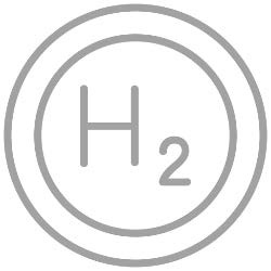 H2